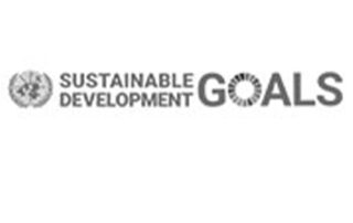 Sustainable Development Goals logo