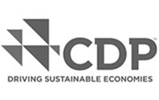 CPD logo