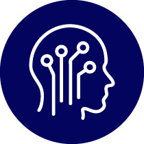 Brain with connections